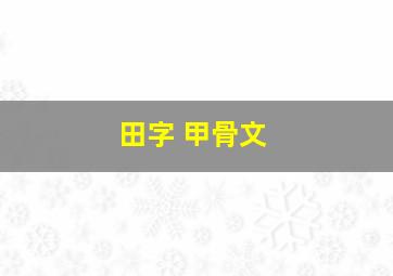 田字 甲骨文